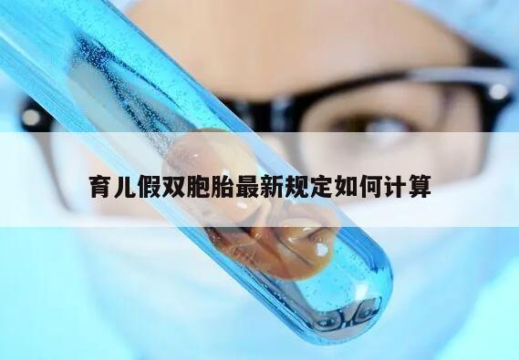 育儿假双胞胎最新规定如何计算