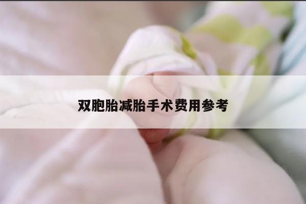 双胞胎减胎手术费用参考