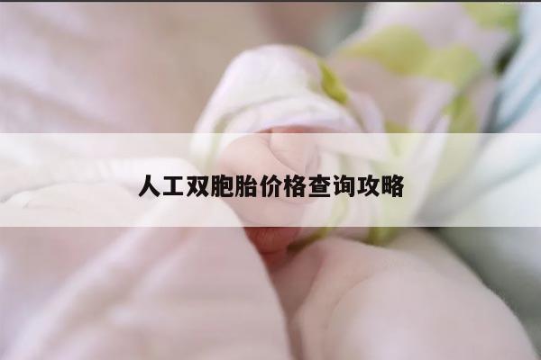 人工双胞胎价格查询攻略