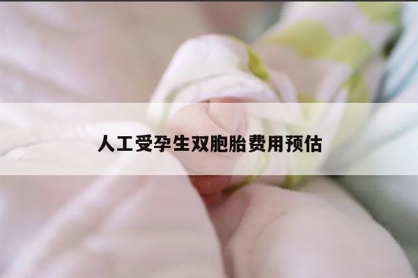 人工受孕生双胞胎费用预估