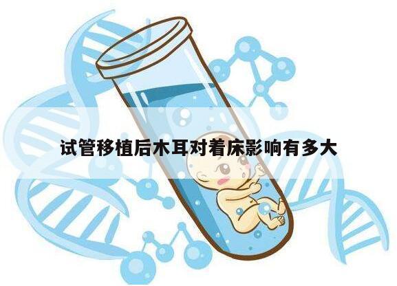 试管移植后木耳对着床影响有多大