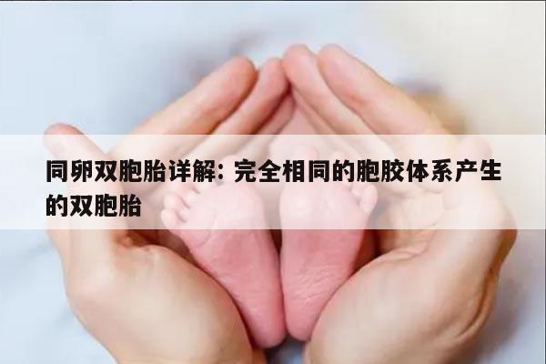 同卵双胞胎详解: 完全相同的胞胶体系产生的双胞胎