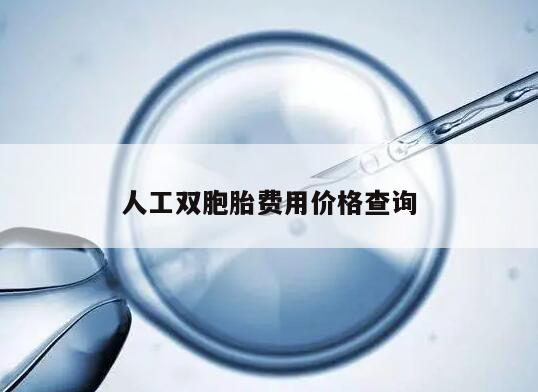 人工双胞胎费用价格查询