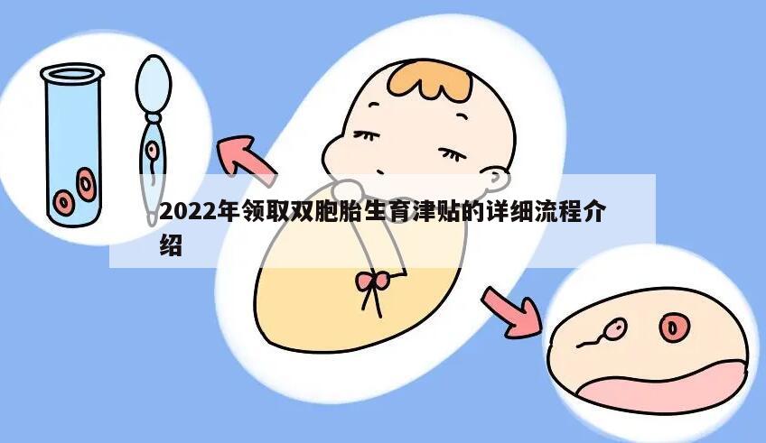 2022年领取双胞胎生育津贴的详细流程介绍