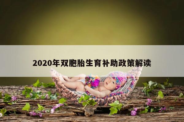 2020年双胞胎生育补助政策解读