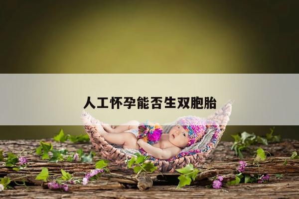 人工怀孕能否生双胞胎