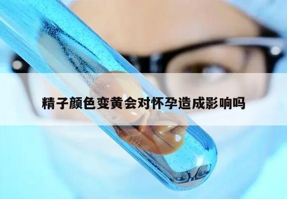 精子颜色变黄会对怀孕造成影响吗