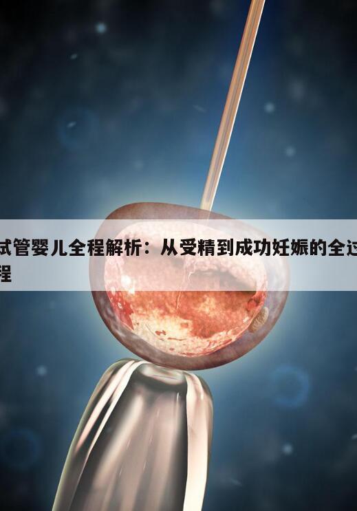 试管婴儿全程解析:从受精到成功妊娠的全过程