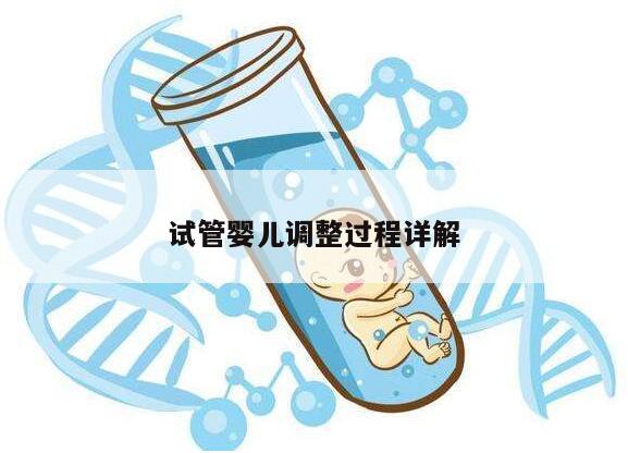 试管婴儿调整过程详解