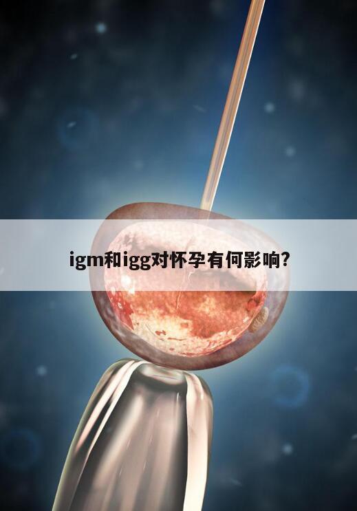 igm和igg对怀孕有何影响?