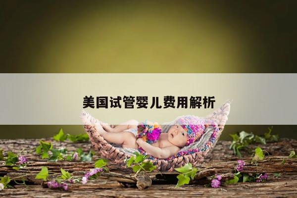 美国试管婴儿费用解析