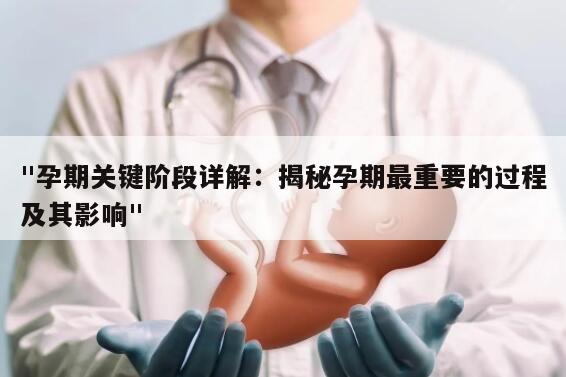 "孕期关键阶段详解：揭秘孕期最重要的过程及其影响"