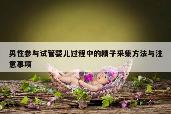 男性参与试管婴儿过程中的精子采集方法与注意事项