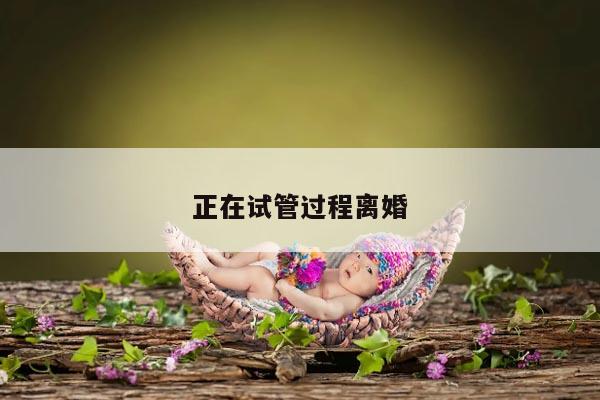 正在试管过程离婚