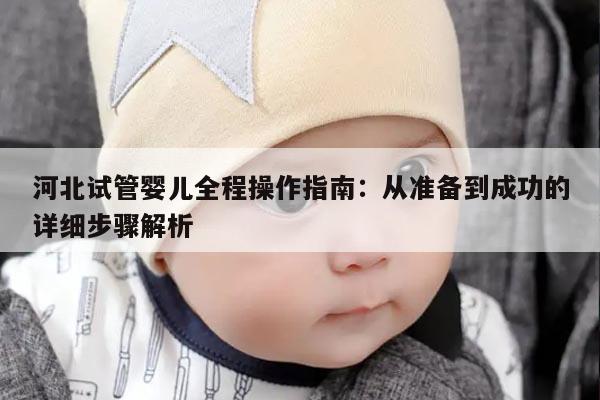 河北试管婴儿全程操作指南:从准备到成功的详细步骤解析