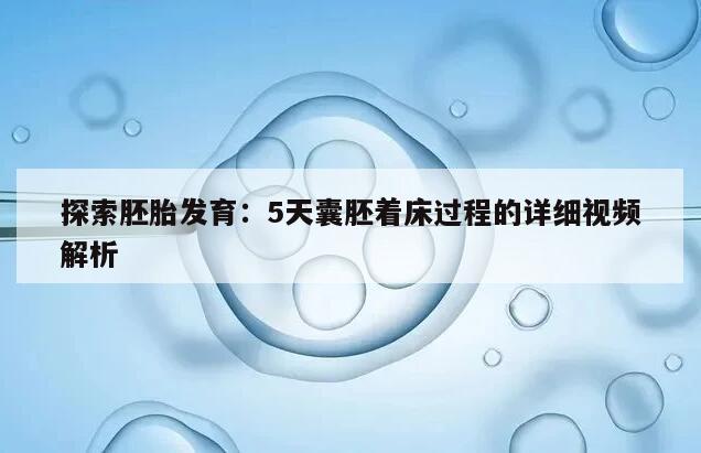 探索胚胎发育:5天囊胚着床过程的详细视频解析
