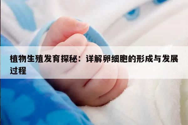 植物生殖发育探秘:详解卵细胞的形成与发展过程