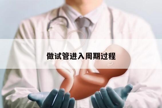 做试管进入周期过程