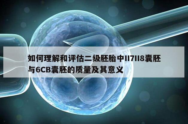 如何理解和评估二级胚胎中II7II8囊胚与6CB囊胚的质量及其意义