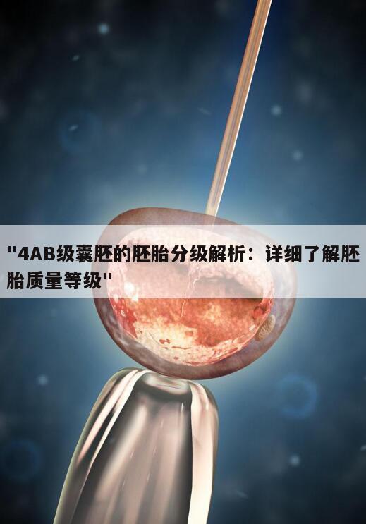 "4AB级囊胚的胚胎分级解析：详细了解胚胎质量等级"