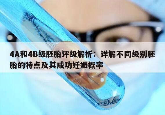 4A和4B级胚胎评级解析：详解不同级别胚胎的特点及其成功妊娠概率