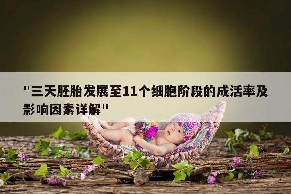 "三天胚胎发展至11个细胞阶段的成活率及影响因素详解"