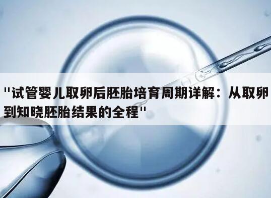 "试管婴儿取卵后胚胎培育周期详解:从取卵到知晓胚胎结果的全程"