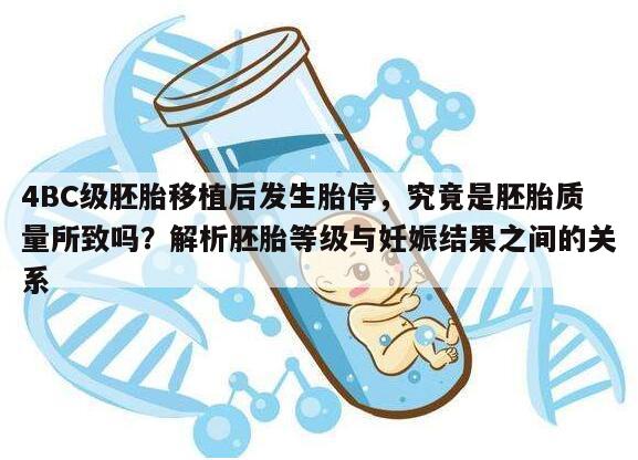 4BC级胚胎移植后发生胎停,究竟是胚胎质量所致吗?解析胚胎等级与妊娠结果之间的关系