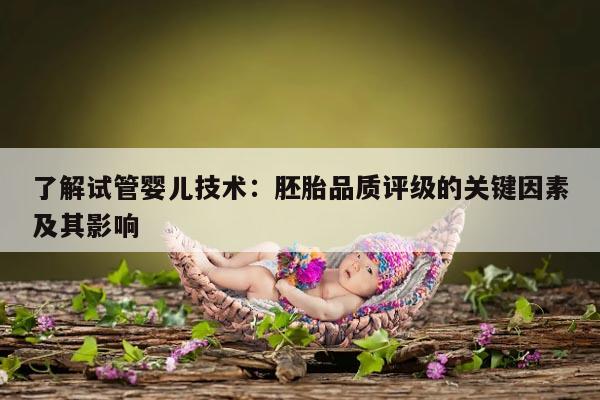 了解试管婴儿技术：胚胎品质评级的关键因素及其影响