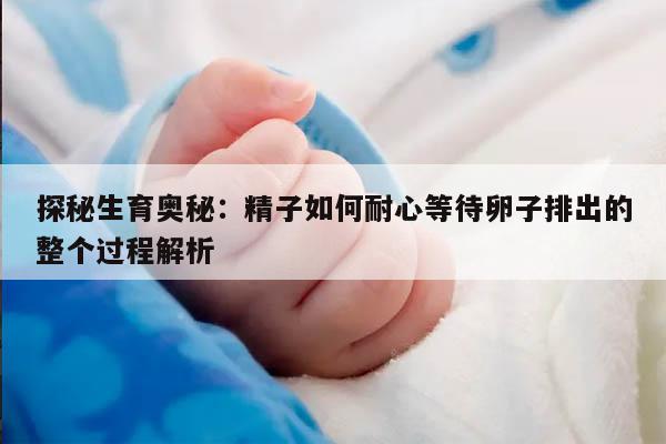 探秘生育奥秘：精子如何耐心等待卵子排出的整个过程解析