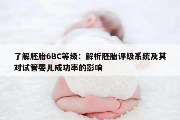 了解胚胎6BC等级：解析胚胎评级系统及其对试管婴儿成功率的影响