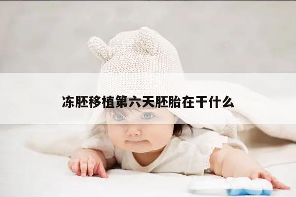 冻胚移植第六天胚胎在干什么