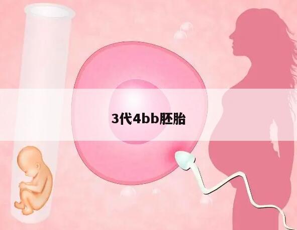 3代4bb胚胎
