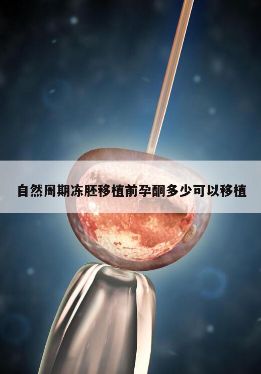 自然周期冻胚移植前孕酮多少可以移植
