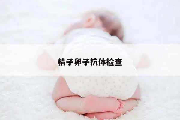 精子卵子抗体检查