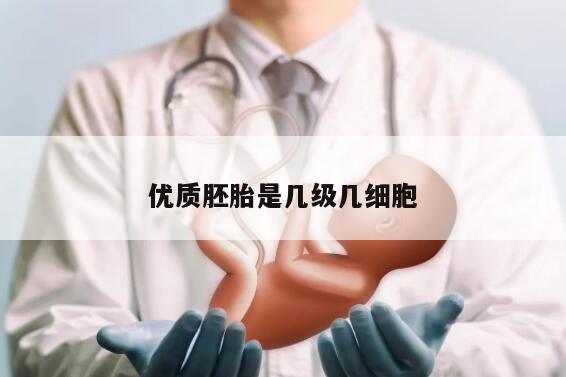 优质胚胎是几级几细胞