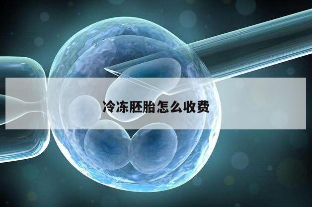 冷冻胚胎怎么收费