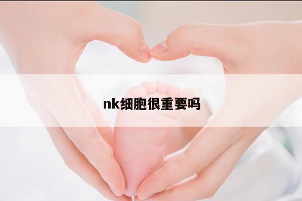 nk细胞很重要吗