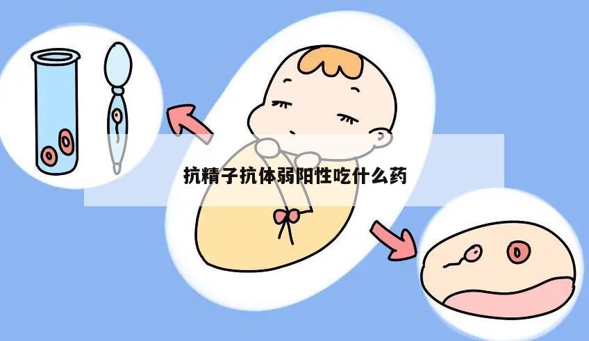 抗精子抗体弱阳性吃什么药