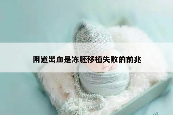 阴道出血是冻胚移植失败的前兆