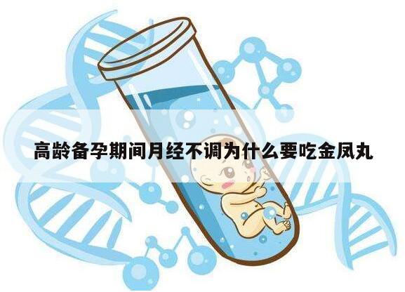 高龄备孕期间月经不调为什么要吃金凤丸