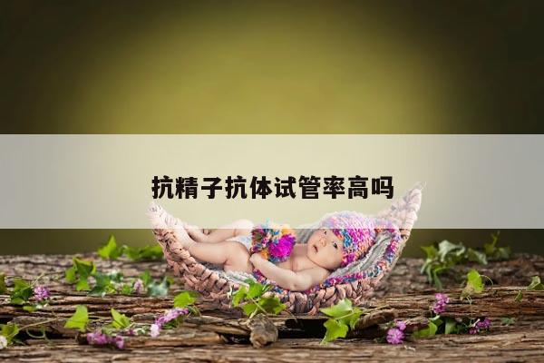 抗精子抗体试管率高吗