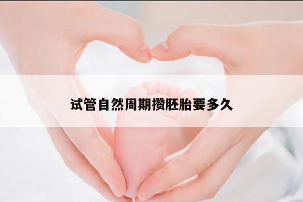 试管自然周期攒胚胎要多久