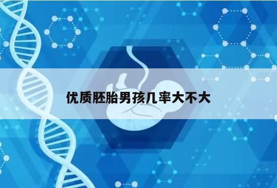 优质胚胎男孩几率大不大