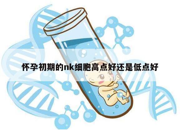 怀孕初期的nk细胞高点好还是低点好