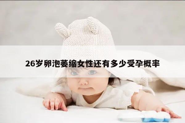 26岁卵泡萎缩女性还有多少受孕概率