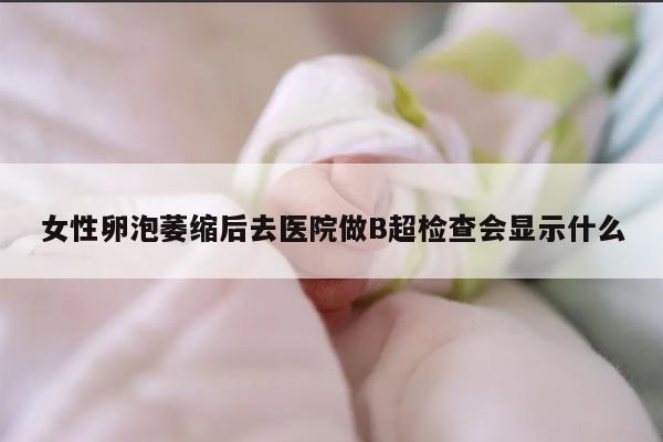 女性卵泡萎缩后去医院做B超检查会显示什么