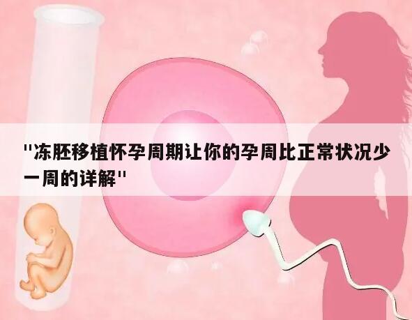 "冻胚移植怀孕周期让你的孕周比正常状况少一周的详解"
