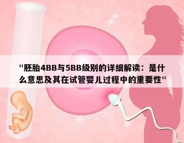 "胚胎4BB与5BB级别的详细解读:是什么意思及其在试管婴儿过程中的重要性"