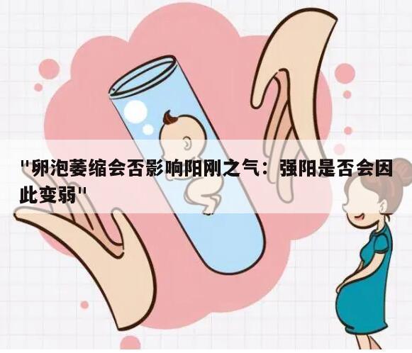 "卵泡萎缩会否影响阳刚之气:强阳是否会因此变弱"